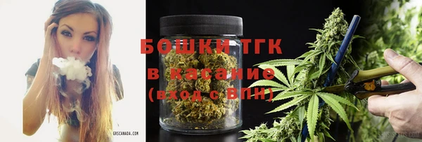 ПСИЛОЦИБИНОВЫЕ ГРИБЫ Аркадак
