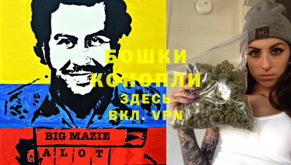 ПСИЛОЦИБИНОВЫЕ ГРИБЫ Аркадак
