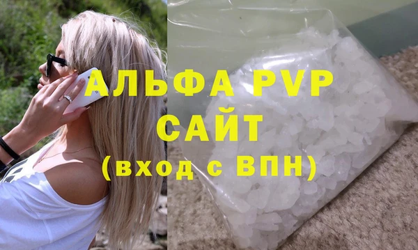 стаф Каменногорск