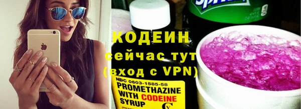 стаф Каменногорск